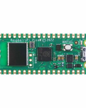 Raspberry pi pico w in pakistan